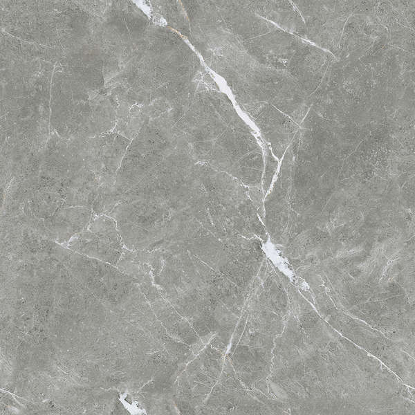 Ceradim Stone Cool Grey  6060  -8