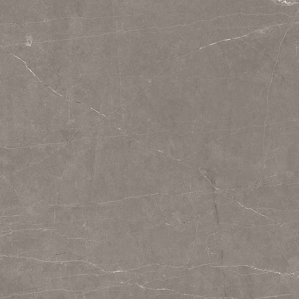 Ceradim Stone Micado Grey  6060  -8