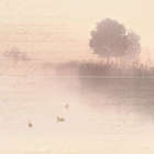 P2-2D199 Панно настенное Ceramica Classic Панно Classics 40х40 (400x400)