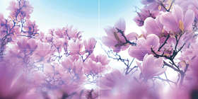 P4D297 Панно настенное Ceramica Classic Панно Magnolia 80х40 (800x400)