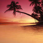 P2-2D278 Ceramica Classic Панно Sunset 40х40 (400x400)