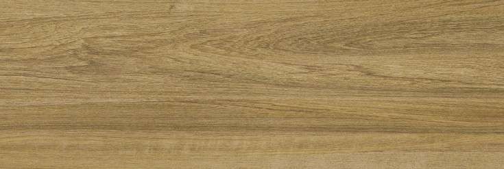 Wood Caramel (750x250)