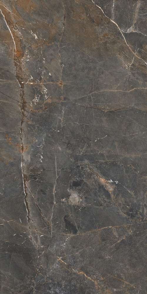 Grey 119.7x59.7 (597x1197)