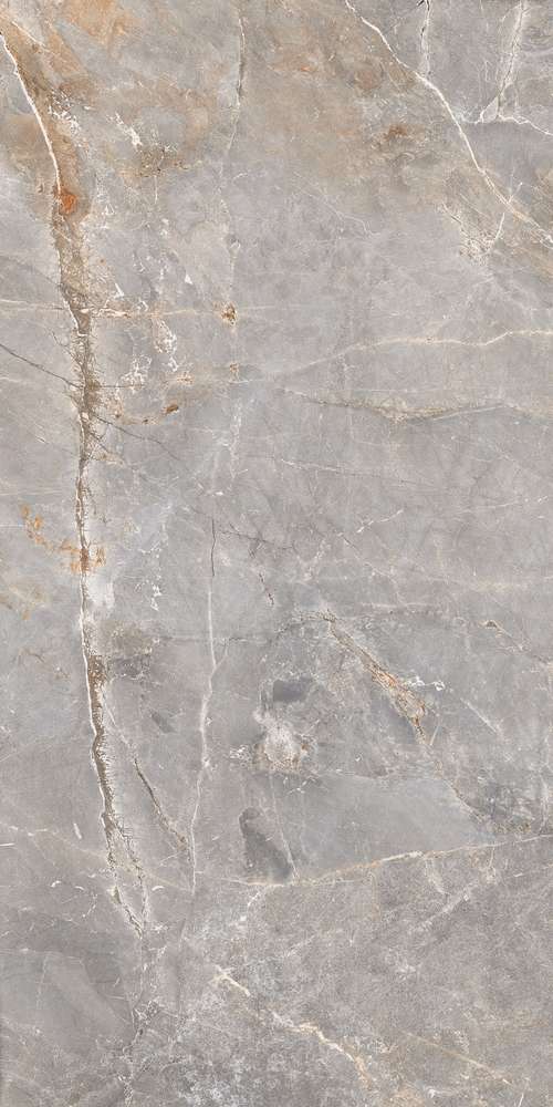 Silver 119.7x59.7 (597x1197)