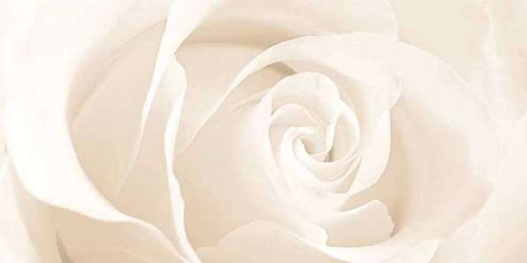 EC2L011 Декор настенный Cersanit Effecta вставка бежевая (C-D) 29,8x59,8 (598x298)