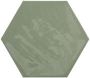 Hexagon Sage (180x160)