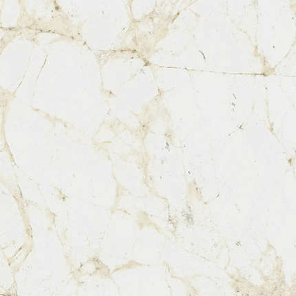 Coliseumgres Canova White Ret 60x60