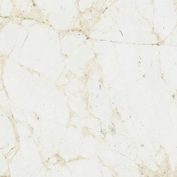 White Ret 60x60 (600x600)