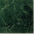 Verde (320x320)