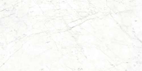 Carrara Bianco Glossy (1200x600)