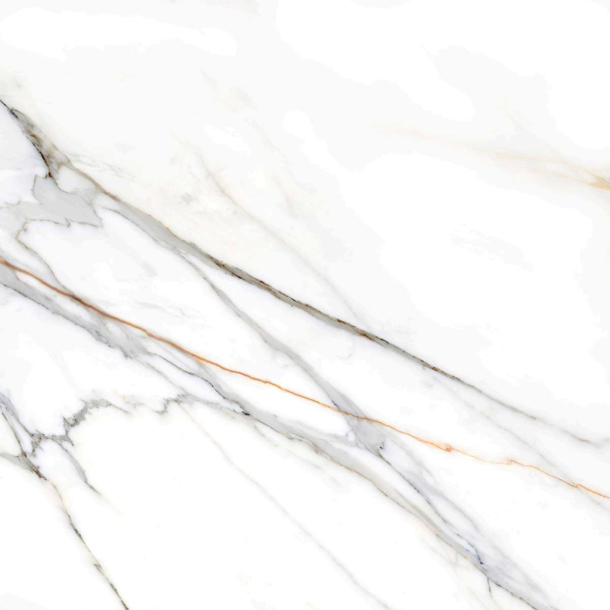 223527 Керамогранит Colorker Calacatta Gold White Pulido Rect 120x120 (1200x1200)