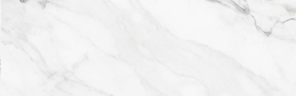 Керамогранит Colorker INSIGNIA WHITE Matt 31,6x100 (1000x316)