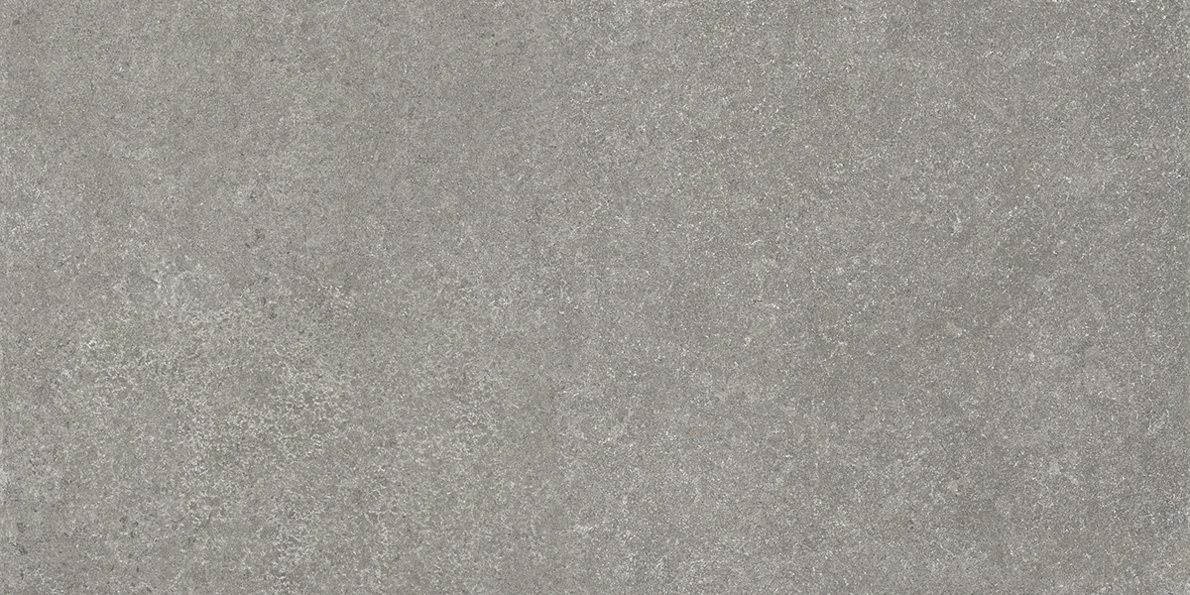 Grey 59.5x119.2 (1192x595)