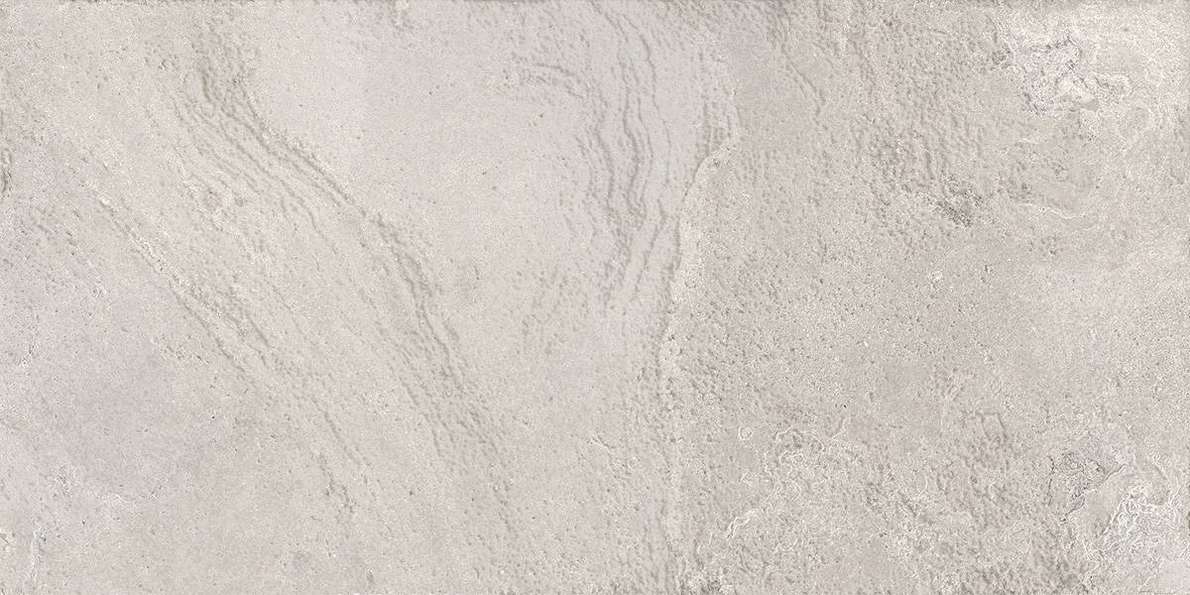 Silver 59.5х119.2 (1192x595)
