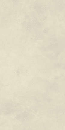 Кренза Cement Beige Matt Rustic 80x160