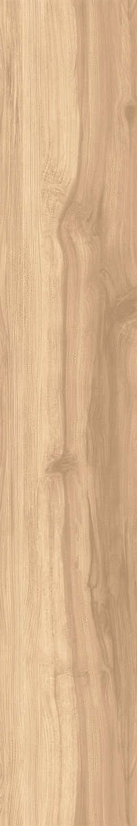 Brich Rustic 20x120 (200x1200)