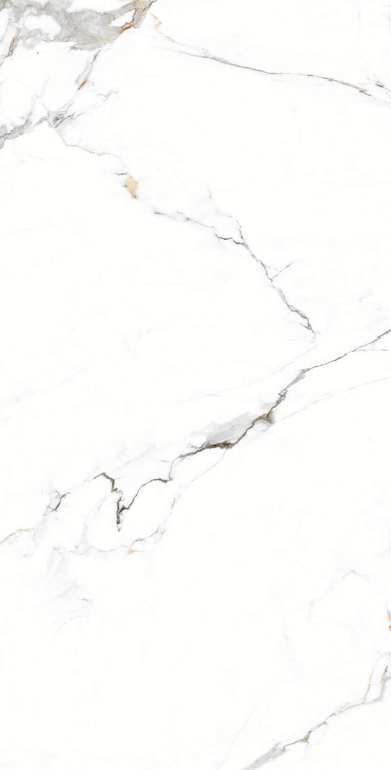 Carving 80x160 (800x1600)
