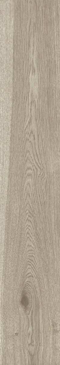 Ash Rustic 20x120 (200x1200)