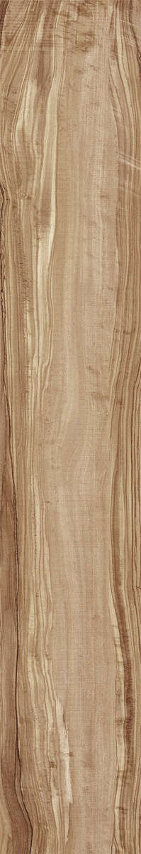Natural Carving 20x120 (200x1200)