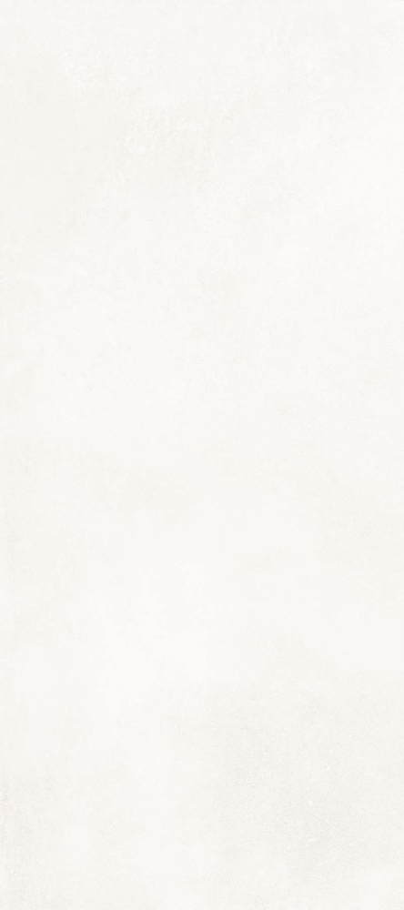 White 60х120 (600x1200)