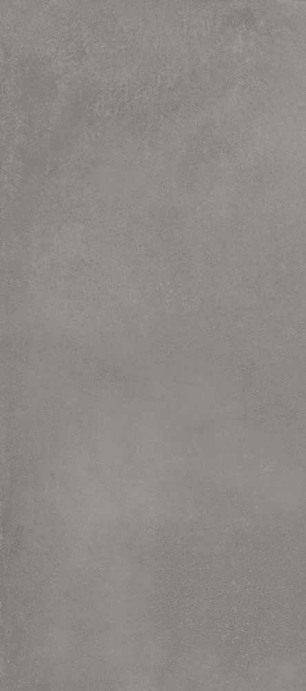 Graphite 60х120 (600x1200)