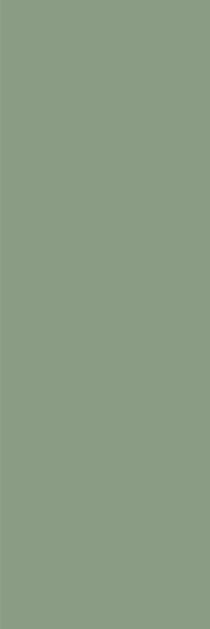 Olive (300x900)