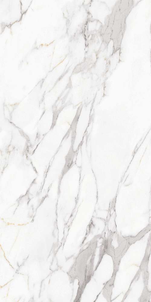 Carrara Elite (800x1600)