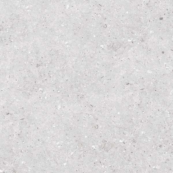 Gris 60x60 (600x600)