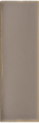 DNA Tiles Chalk Fossil 4x12.5