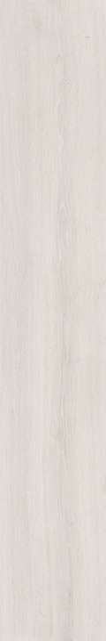 Dado Ceramica Ikon Birch 20x122 -3