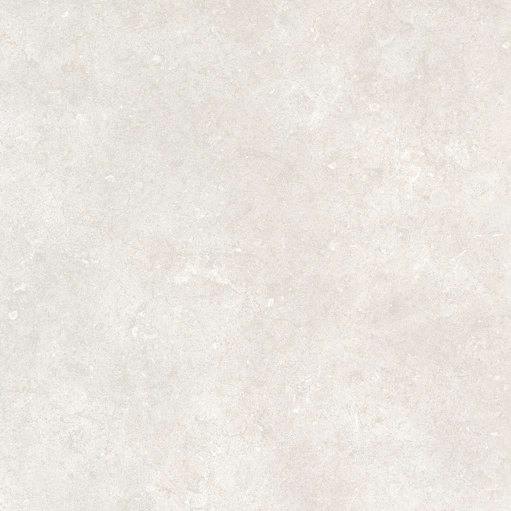 Bone 120x120 (1200x1200)