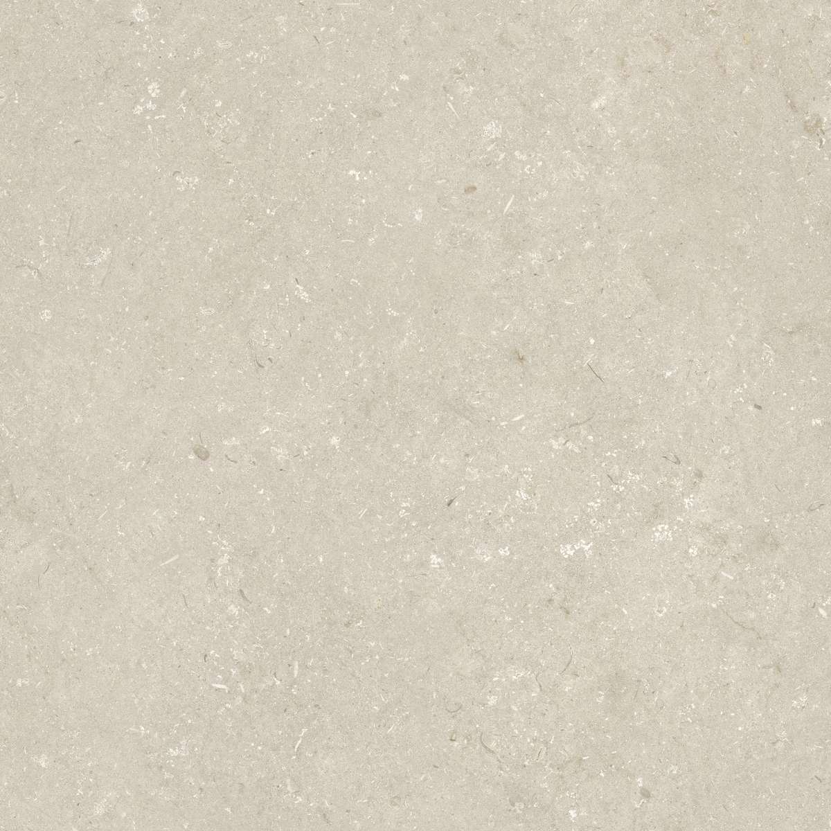 Beige 120x120 (1200x1200)