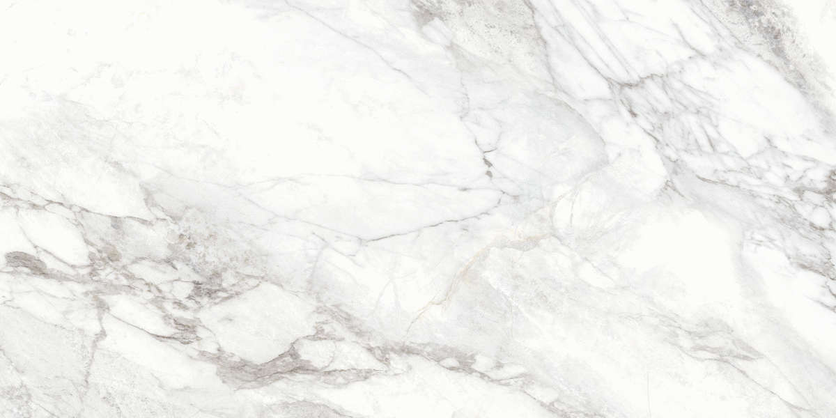 Carrara Матовый 60x120 (1200x600)