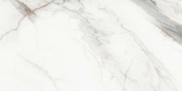 Delacora Carrara Cersei  30x60 Carving- -18