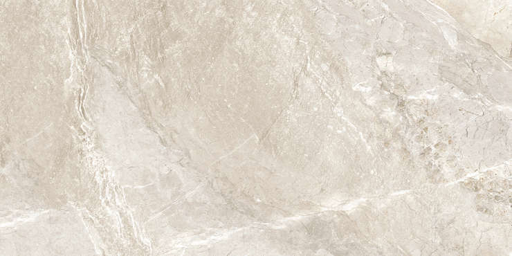 Делакора Wild Gold Матовый 60x120