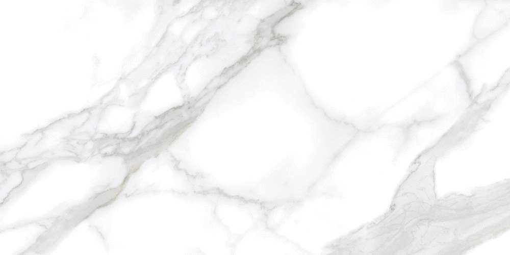 Carrara Classic Matt (1200x600)