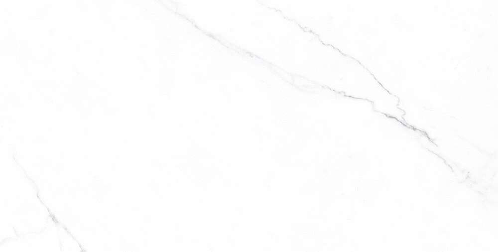 Carrara Bianco Matt (1200x600)