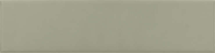 Эквип Costa Nova Tansy Green Matt