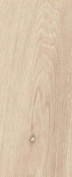 Rovere Pallido Naturale Rett 24x278 (240x2780)