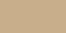 RW15 Light Brown 3060  (600x300)