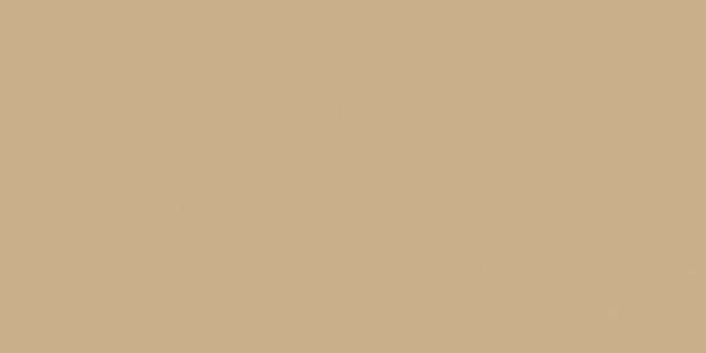 RW15 Light Brown 120х60 неполированный рект. 10мм (1200x600)