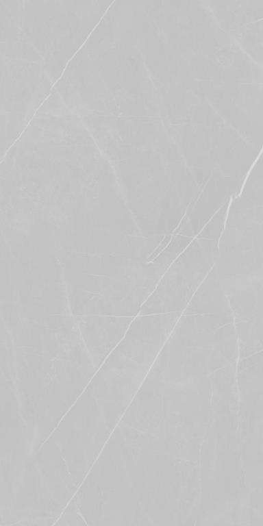 Eurotile Pietra Pietra Gray  80x160 -3