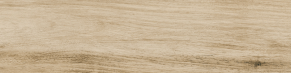 GP Natural 14.7x59.4 (594x147)