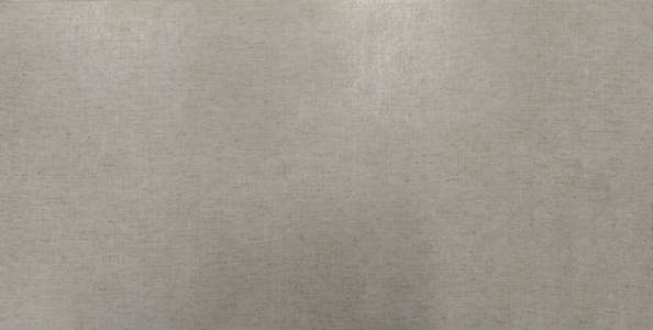 Керамогранит Евро-Керамика Серый Глазурованный матовый ректификат 9.6мм (600x300)