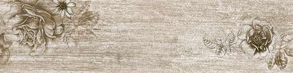 Керамогранит Евро-Керамика Серый (600x150)