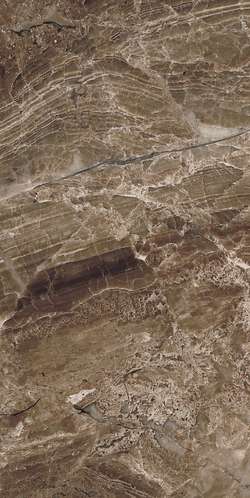 5 DL 0058 Плитка настенная Евро-Керамика Дельма 0058 25x50 (250x500)