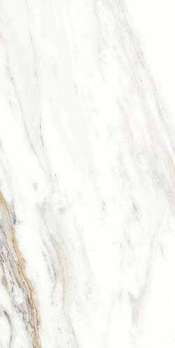 5 GR 0041 Плитка настенная Евро-Керамика Галера 0041 25x50 (250x500)