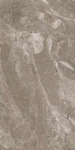 5 GA 0050 Плитка настенная Евро-Керамика Гарда 0050 25x50 (250x500)