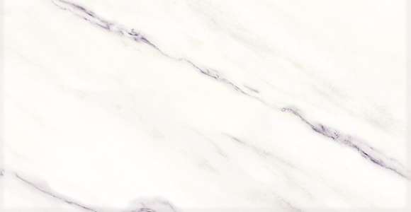 Керамогранит Евро-Керамика На белом серый матовый ректификат (600x300)