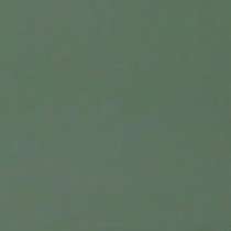 10GCRР 0007 Керамогранит Евро-Керамика зеленый полированный 60x60 (600x600)